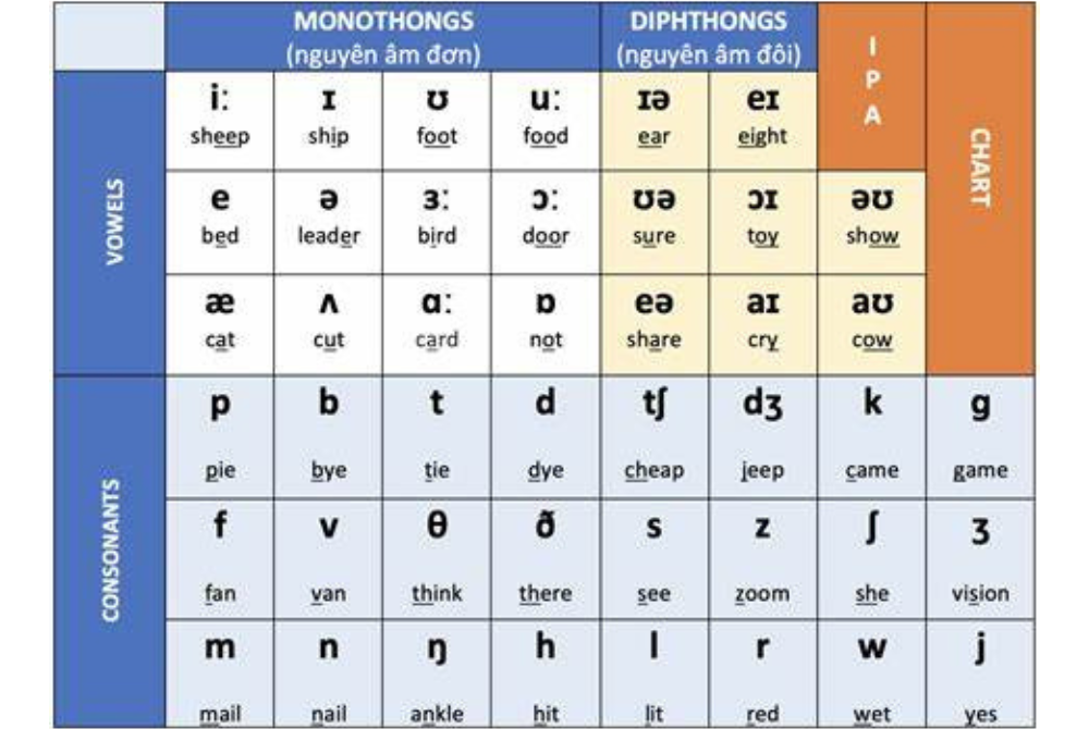 học phát âm theo bảng phiên âm IPA