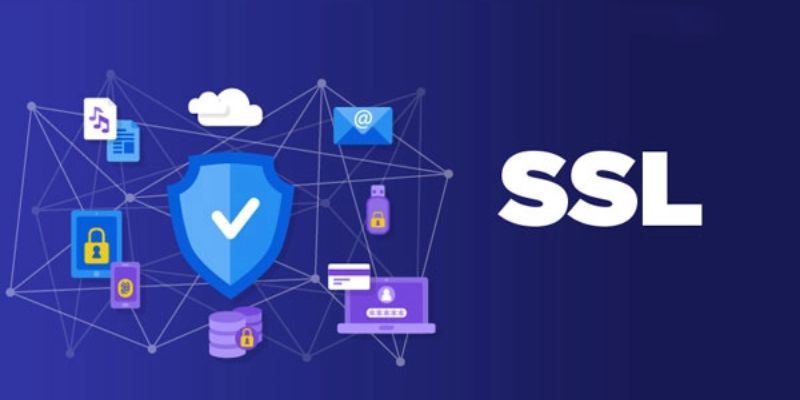 Một số tiêu chí lựa chọn nhà cung cấp chứng chỉ SSL