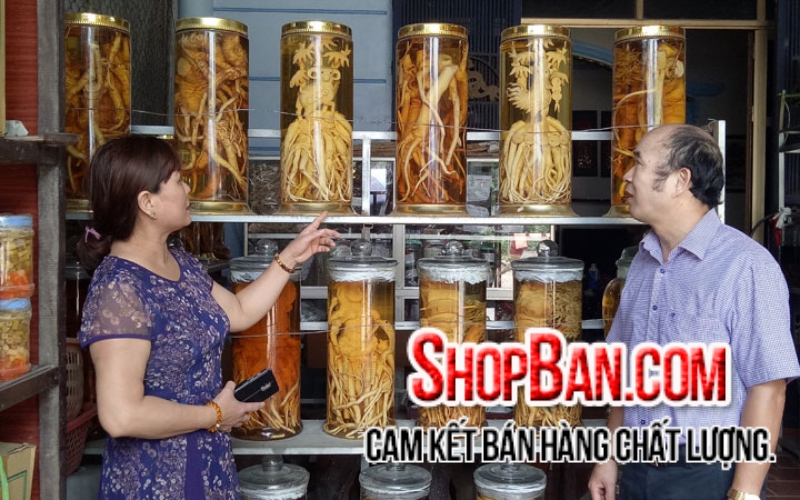 Cửa hàng rượu ngâm uy tín ShopBan.com