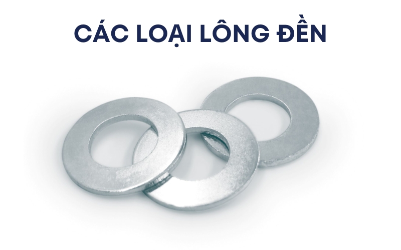 các loại lông đền