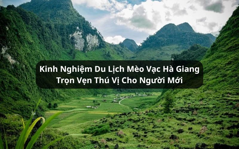 kinh nghiệm du lịch mèo vạc hà giang
