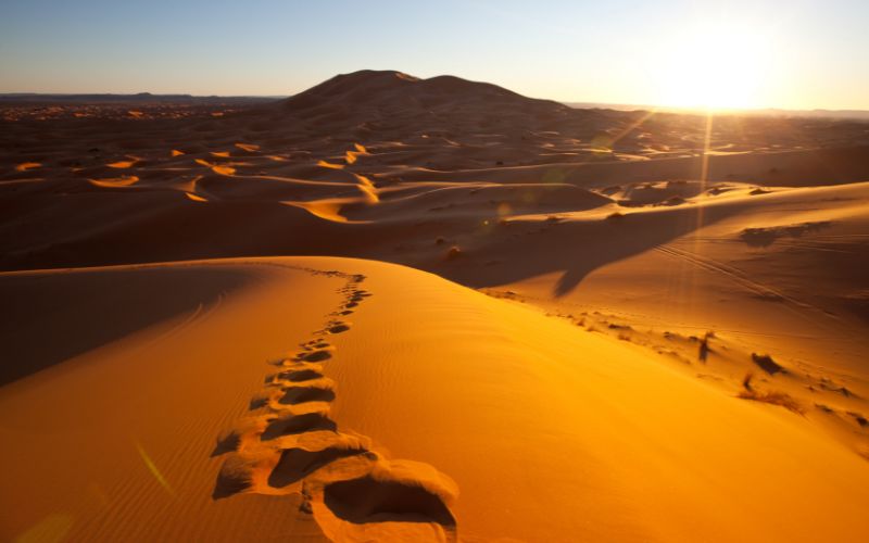sa mạc sahara