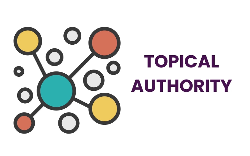 Cách xác định Topical Authority của Website