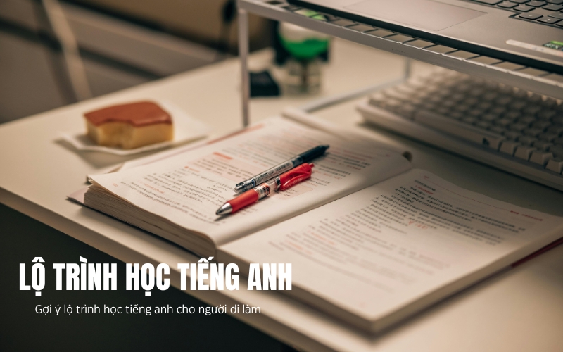 lộ trình học tiếng anh cho người đi làm