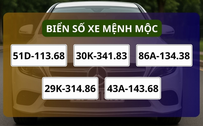 Các biển số xe hợp với mệnh Mộc được ưa chuộng
