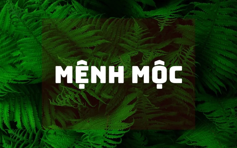 Mệnh Mộc
