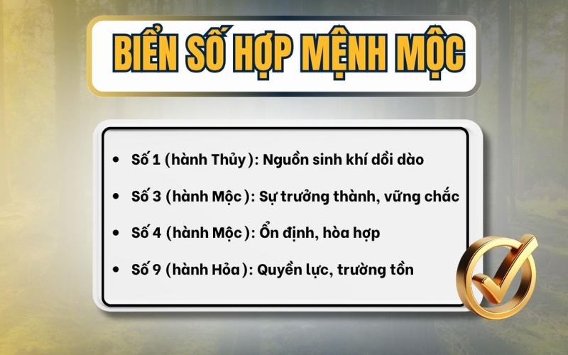 Biển số xe hợp mệnh Mộc
