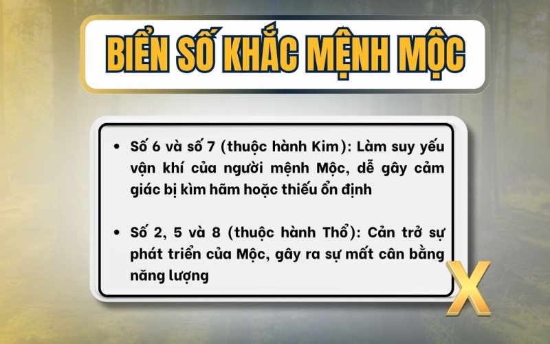 Biển số xe khắc mệnh Mộc
