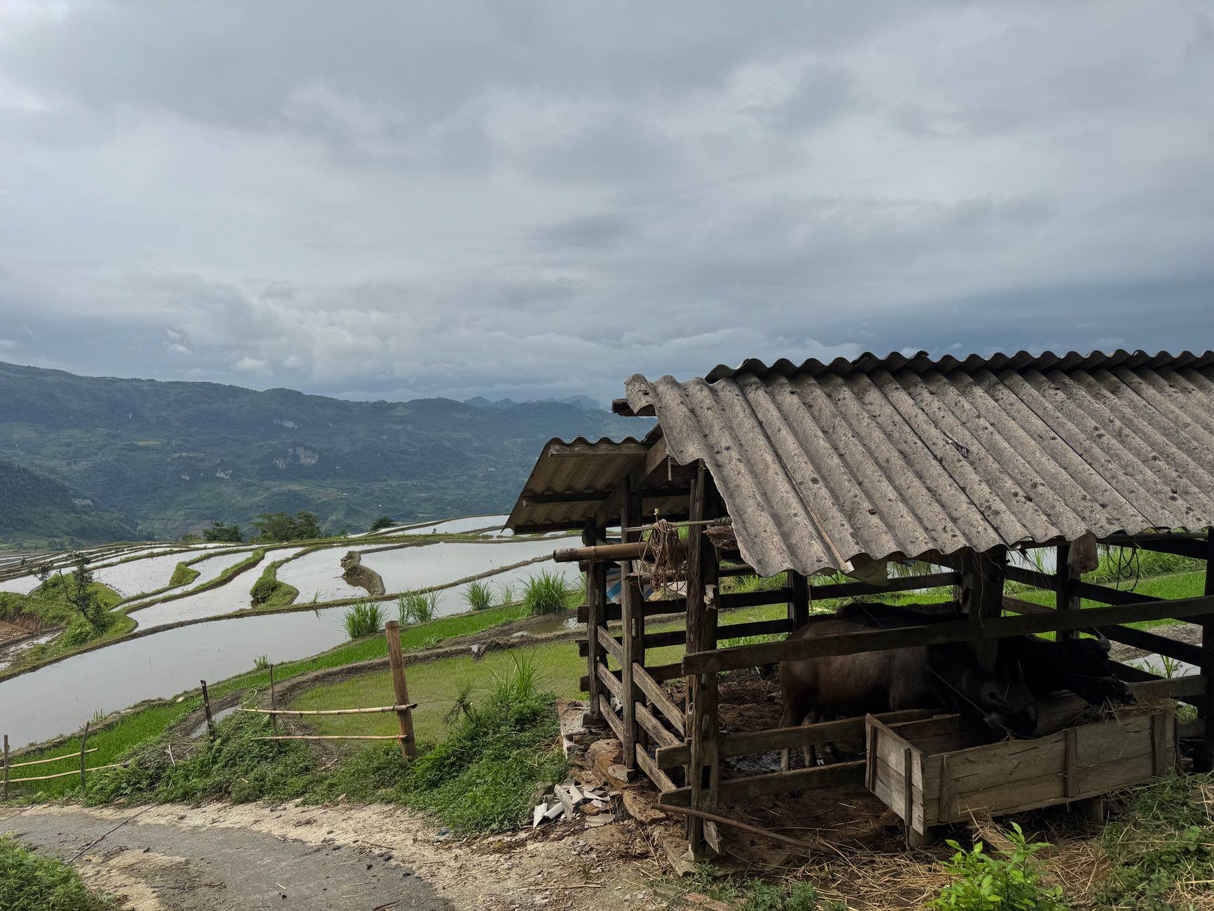 So sánh dịch vụ easy rider trước khi đặt