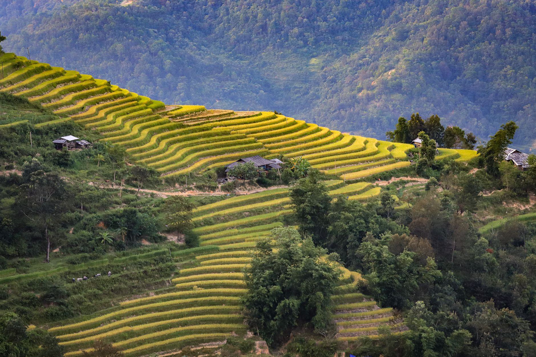 Easy rider ha giang motorcycle tour: tài xế làm gì?
