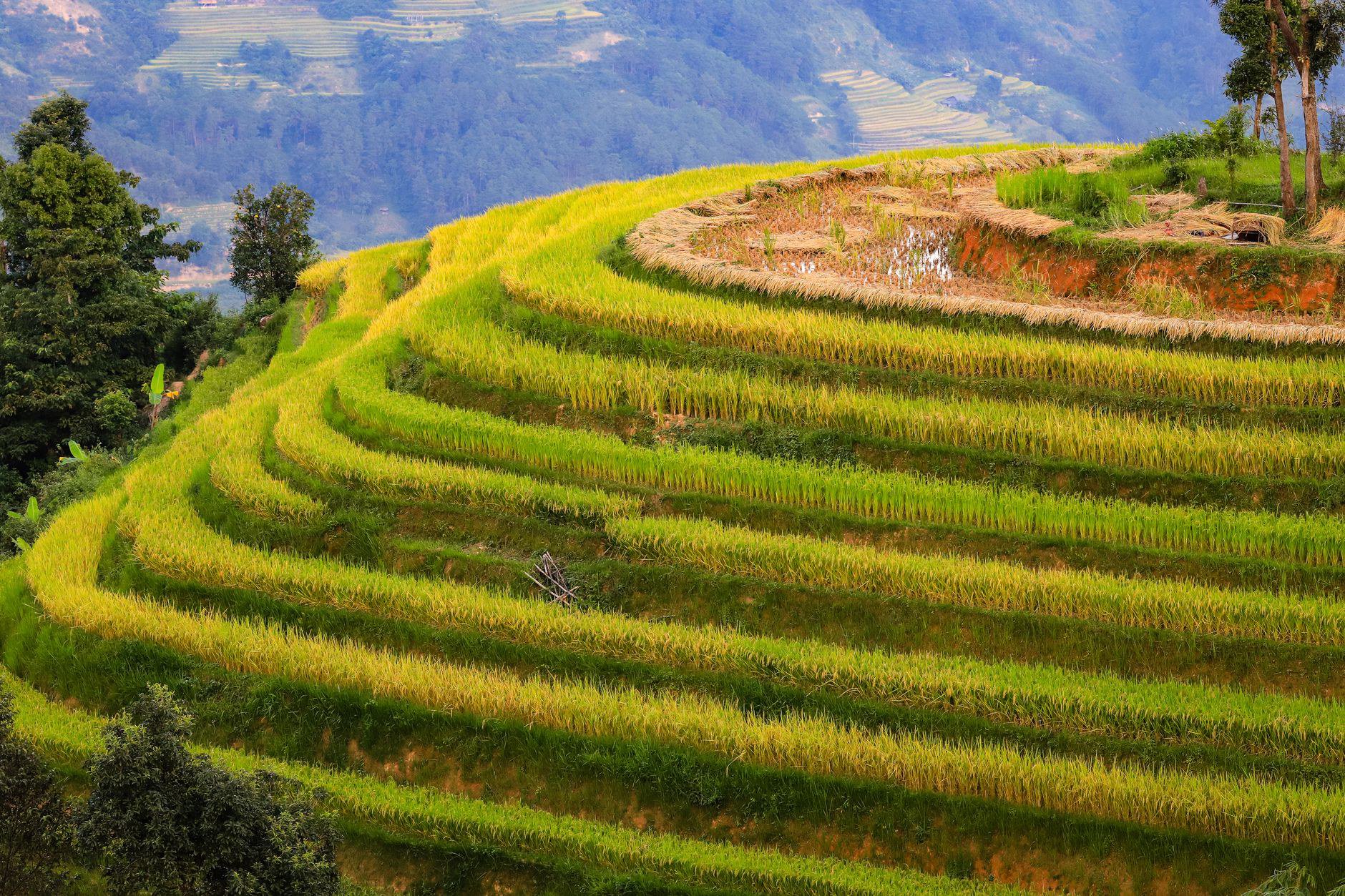 Hành lý cho tour Hà Giang 4 ngày 3 đêm
